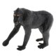 thumbnail image 1 of Ounissouiy de acción de modelo de Animal estático juguete para niños y adultos Macaca Nigra Type3, 1 of 1