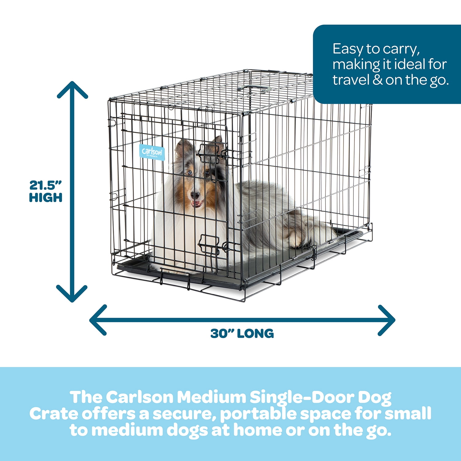 Carlson Secure Foldable Single Door Metal Dog Crate, Medium, Black, 30-Inch