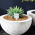 thumbnail image 1 of ELAYARD 50Ud Etiquetas Metálicas Para Plantas Con Inoxidable Resistente, 1 of 8