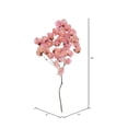 thumbnail image 3 of Vickerman 13.5-17" Pink Dried Cara Blossom Bundle, Preserved., 3 of 5