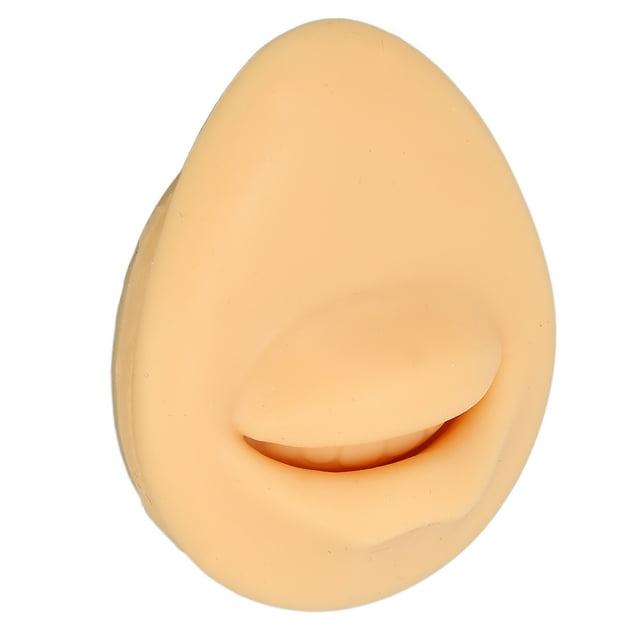 Modelo de boca artificial, modelo de boca de silicona suave, modelo de boca falsa, simulación de modelo de boca humana, funcionamiento suave