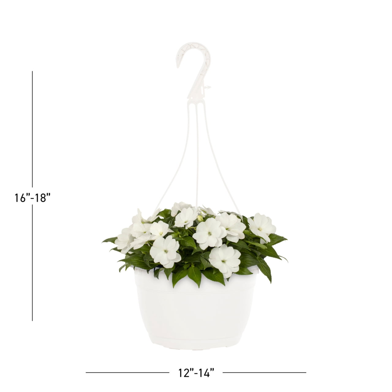 Expert Gardener 1.5gal White New Guinea Impatiens Live Annual Plant Hanging Basket Shade