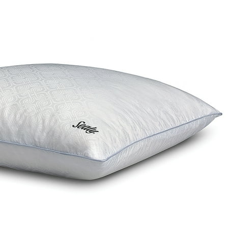 Sealy Plush Standard Bed Pillows, Removable Washable