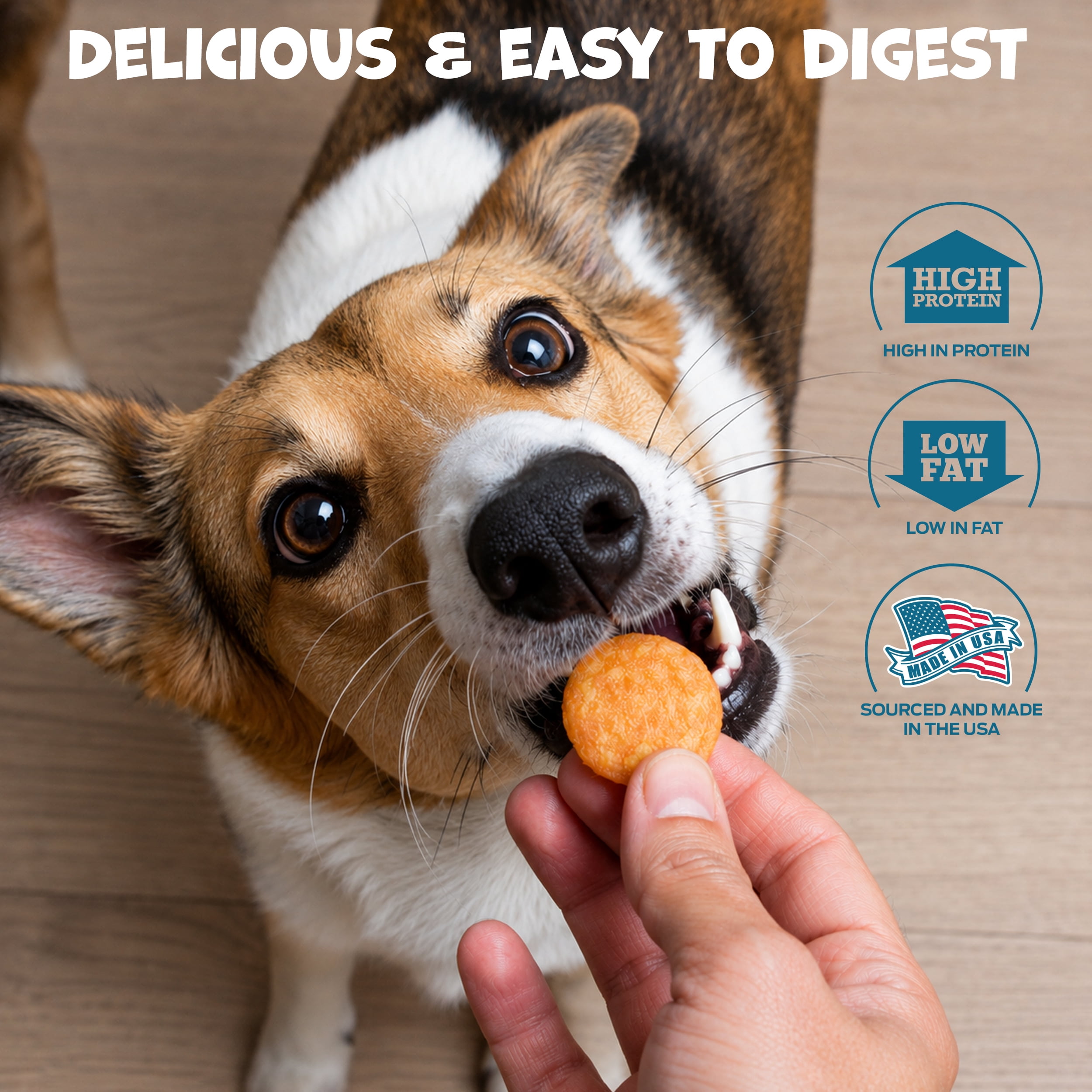 Pack Approved Chicken Training Treats for Dogs, 12 oz Bag