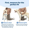 thumbnail image 5 of PetSafe Deluxe Easy Walk Dog Harness, No-Pull Dog Training, Medium/Large, Steel, 5 of 7