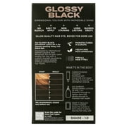 Glossy Black Permanent Kit