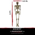 thumbnail image 3 of Life-Size 5 ft Skeleton Prop, Indoor/Covered Outdoor Halloween Decoration, HHSKEL-8HA, 3 of 11