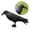 Crow, variant on SDFGTstore Crow Decoys for Hunting Simulated Crow Garden Statues Crow Plastic Black