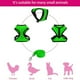 thumbnail image 4 of Correa para Pollos, Arnés de Nailon para Aves de Corral, Chaleco Suave y Transpirable, Ajustable, Cómodo para Entrenar y Pasear, Portátil, Verde, Apto para Pollos y Aves de Corral, Talla S, 4 of 5