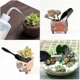 thumbnail image 4 of Juego de herramientas para plantas suculentas de 14 Uds., Mini Kit de herramientas de riego para plantación de jardín para el cuidado de plantas esquí esquí Gafas de esquí, 4 of 5