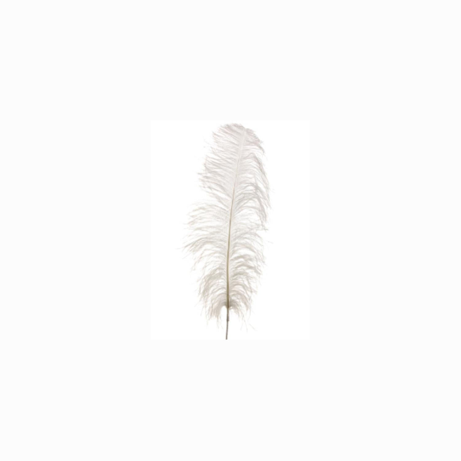 ostrich feather sprays