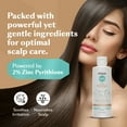 thumbnail image 3 of DHS Zinc Medicated Shampoo - Anti-Dandruff, itch & Oily Hair Treatment 8 oz, 3 of 5