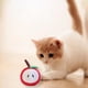 thumbnail image 4 of Juguete de peluche lindo con forma de fruta, juguete chirriante para gato, 4 Uds., 4 of 5