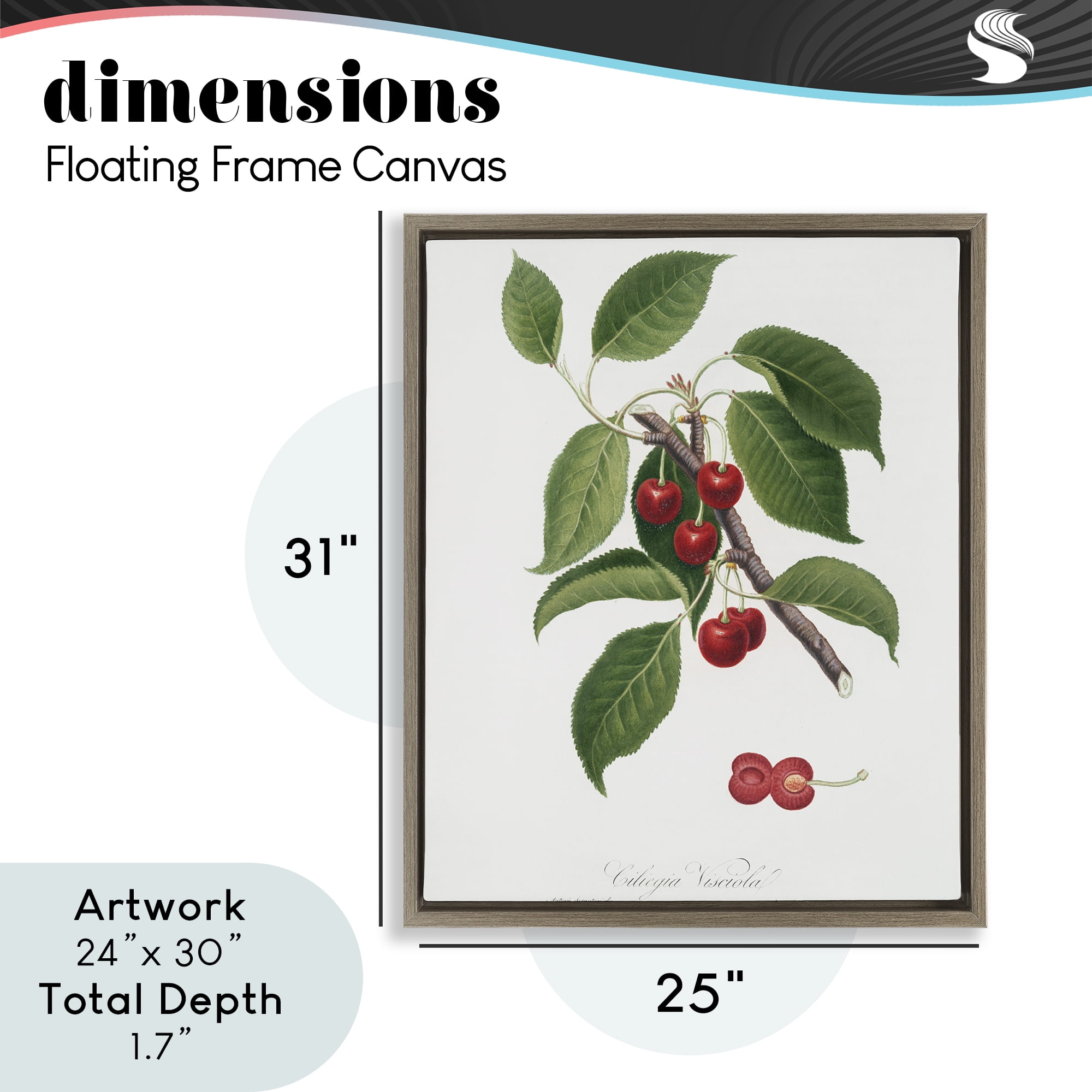 Latin Study of Cherry Plant Brown Framed Floater Canvas Wall Art, design by Lettered and Lined