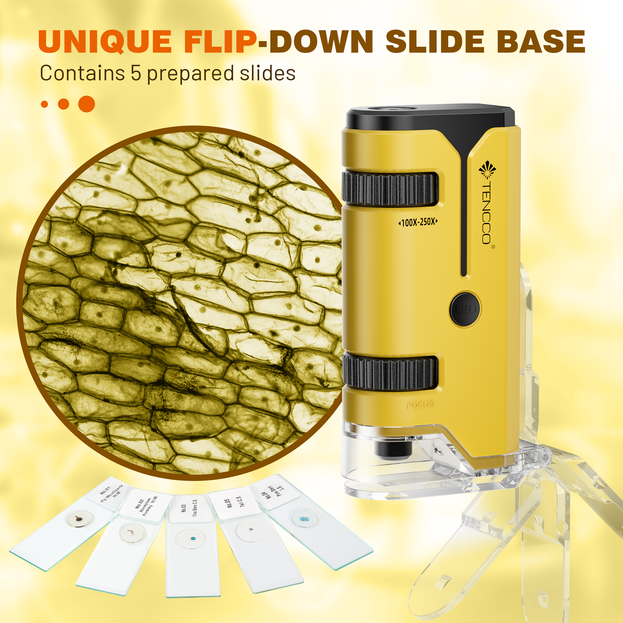 BEBANG Pocket Microscope with LED and UV Light photo 7