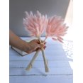 thumbnail image 2 of 120pcs Dried Bunny Tail, Pink Bunny Tail, Natural Bulk Dried Flowers for Diy Bohemian Wedding Rustic Party Decoration, Home Decoration, Vase Decoration, Wreaths, Cake Decoration. (Pink), 2 of 6
