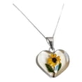 thumbnail image 4 of JOYARIS Shrek Collar Girasol Promesa Regalo Amor Amistad Plata S925 DM-0000965, 4 of 4