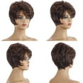 thumbnail image 7 of Riforla Women Dark Brown Short Curly Anime Wigs Brazilian Short Wavy Curly Parting High Temperature Fiber Wig Hair Short Curly Wig with Hair Net Wigs for Women Brown, 7 of 7