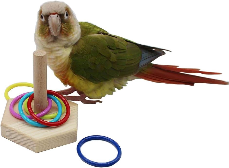 Bird Toys - Training Toys, Color Ring Sets, Chew Ball & Play Gym