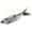 THREADFIN SHAD, variant on SPRO KGB Chad Shad 180 7" Glide Bait Fishing Lure for Bass