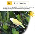 thumbnail image 4 of PVCS Solar Parrot Light Outdoor Decorative Light Clip Fixed Garden Light 4pcs, 4 of 9