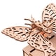 thumbnail image 3 of de montaje de equipo volador de mariposa para estudiantes, juguete educativo, experimento científico, juguetes educativos ños Yotijar Equipo de vuelo, 3 of 10