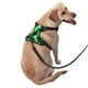 thumbnail image 2 of Balery Green Tie Dye Arnés para Perros Grandes Antitirones, Arnés con Correa para Gato, Arnés Tipo Chaleco para Perros Pequeños-Medium, 2 of 6