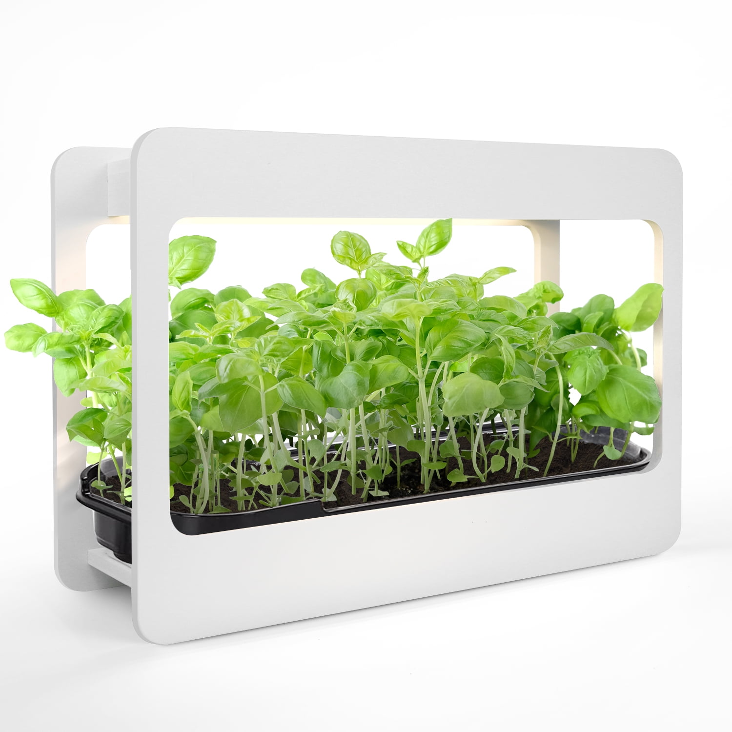 GrowLED LED Plant Grow Light , Indoor Herb with 16H on/8H off Smart Timer, White - Walmart.com