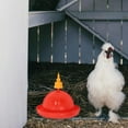 thumbnail image 4 of SWETRACE 1Jgo Bebedero Para Gallinas Y Gansos Con Incorporado Y, 4 of 7