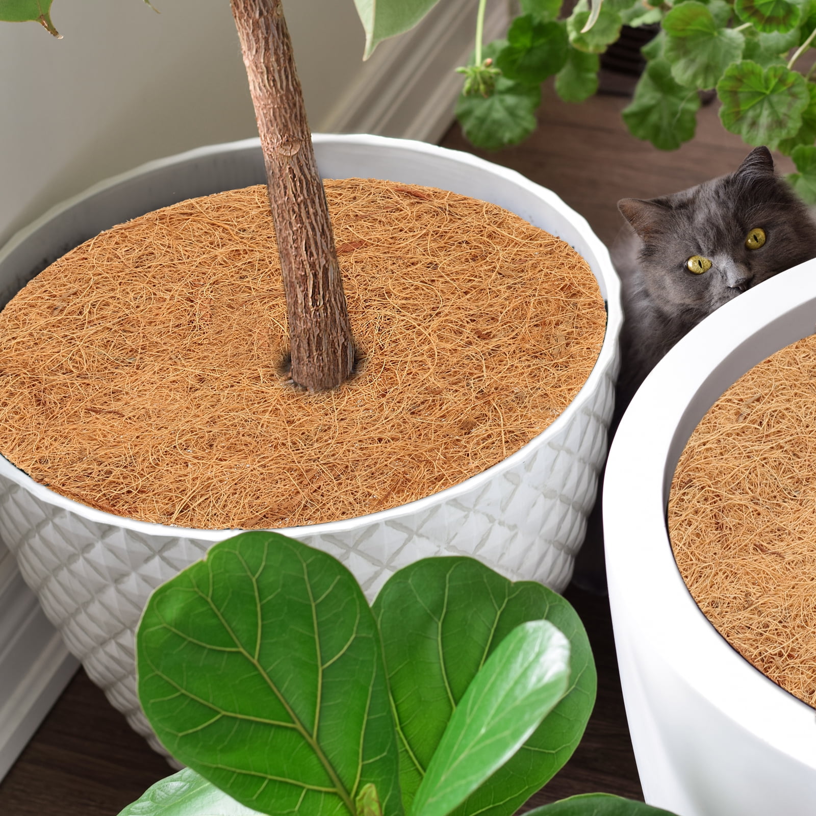 Uxcell 18 Inch Coconut Fibers Mulch Ring, Coco Coir Tree Protector Mats Tree Disc Plant Cover Protection, 3Pcs