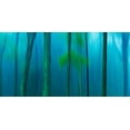 thumbnail image 2 of McLoughlin, James 14x9 White Modern Wood Framed Museum Art Print Titled - Harriman Woods V, 2 of 4