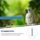 thumbnail image 3 of unbranded Percha Para Pájaros Con Ventosa Color Azul Para Ejercicio Y Entretenimiento De Mascotas, 3 of 8