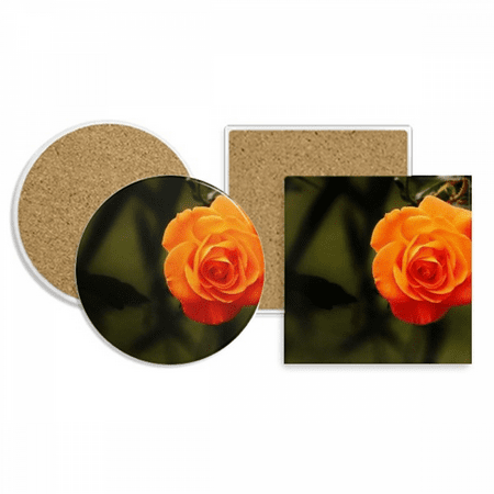 

orange dark green flower coaster cup mug holder absorbent stone cork base set