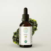 HerbEra Kelp Tincture, Organic Herbal Dietary Supplement for Thyroid Support, Certified Organic Kelp (Ascophyllum nodosum) Dried Plant Extract, Natural, Alcohol-Free, Drops 2 oz