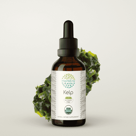 HerbEra Kelp Tincture, Organic Herbal Dietary Supplement for Thyroid Support, Certified Organic Kelp (Ascophyllum nodosum) Dried Plant Extract, Natural, Alcohol-Free, Drops 2 oz