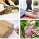 thumbnail image 4 of Tijeras de cocina de precisión, tijeras multiusos de acero inoxidable con hojas afiladas para cortes pesados, mangos ergonómicos antideslizantes para un uso seguro y eficiente, aptas para, 4 of 5