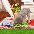 thumbnail image 2 of Hugsmart Raccoon Snuffle Mat Dog Plush Toy, 2 of 7