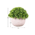 thumbnail image 3 of Plantas Artificiales Barro Decoración Verde 3 Macetas Bonsai, 3 of 3