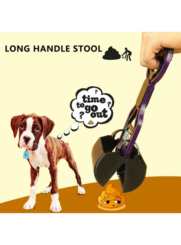 Pooper Scoopers in Dog Potty Training