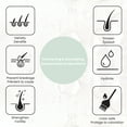 thumbnail image 4 of Oska Pure's Thickening & Densifying Shampoo & Conditioner Set For Thinning Hair, 4 of 4