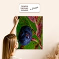 thumbnail image 5 of 3dRose, Ripe huckleberries, Montana, US, Museum Grade Canvas Wrap 16x20, 5 of 7