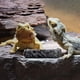 thumbnail image 3 of Cuenco de comida para reptiles Yjmei de 2 piezas, cuenco de resina para reptiles, cuenco de agua para reptiles, cuencos de agua para reptiles, cuenco para tortugas, hecho de resina, para tortugas, lag, 3 of 5