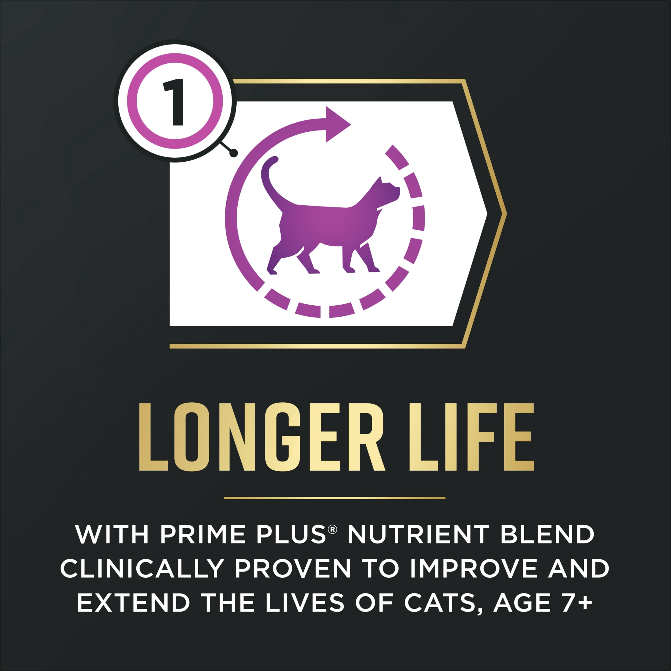 Purina Pro Plan AdvantEDGE Senior Support Plus Adult 7 Plus Chicken and Rice Formula Senior Dry Cat Food, 12 lb.