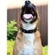 thumbnail image 5 of Collar de Piel con picos A pets Life Negro Chico, 5 of 7