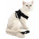 thumbnail image 4 of BR-Vie Arnés y correa de malla suave para gatos, reflectante, a prueba de fugas, ajustable, anti tirones, para perros pequeños, cachorros, gatitos, negro, mediano esquí esquí Gafas de esquí, 4 of 5