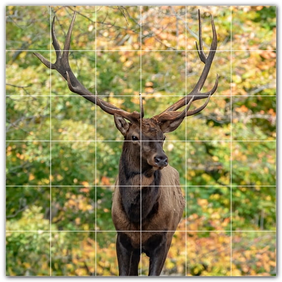 Picture-Tiles.com: Deer Ceramic Tile Wall Mural WAL500457-66M. 36"W x 36"H using (36) 6" x 6" Ceramic Tiles-Satin Finish