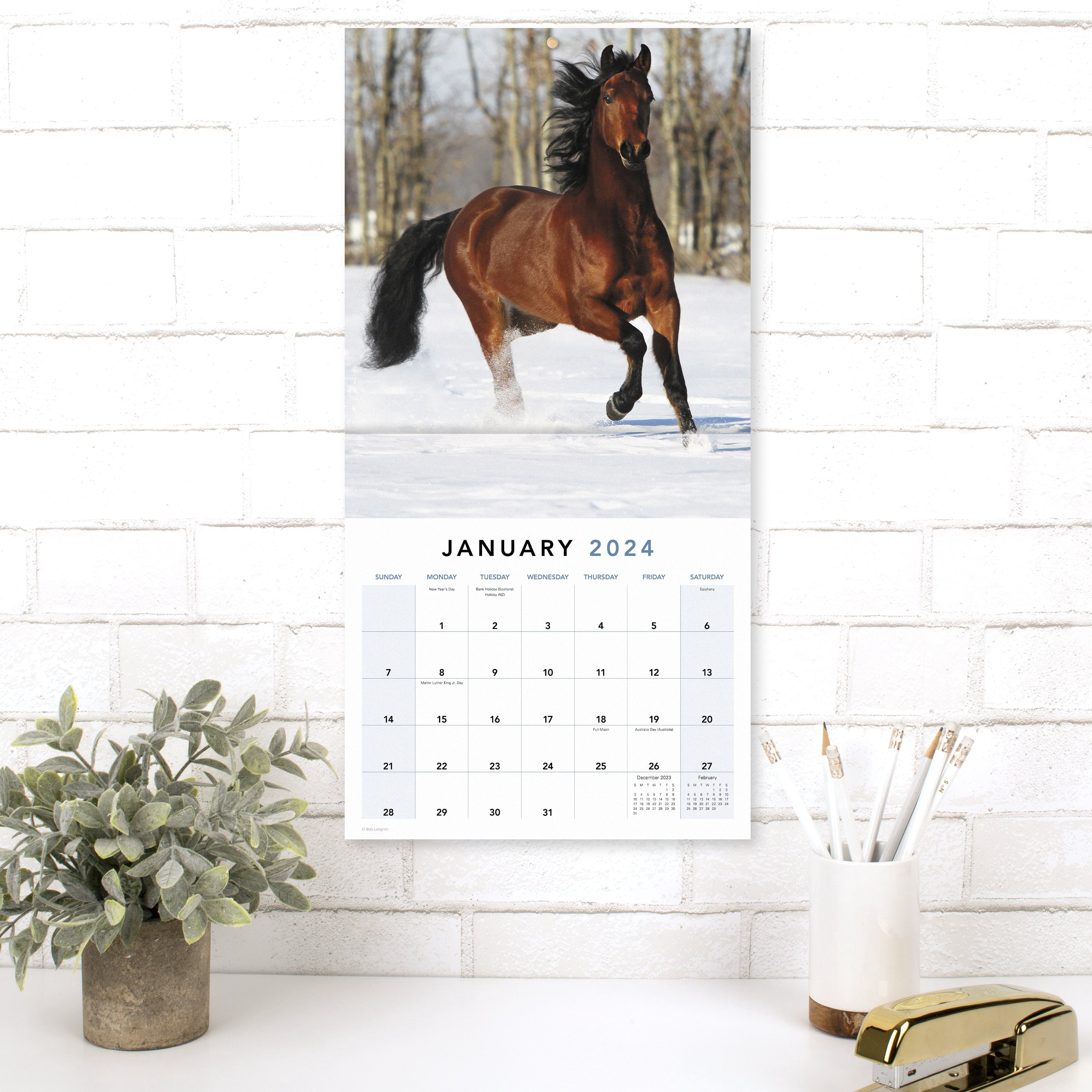 Horses 2024 Monthly Wall Calendar 12 x 12 - Wall Calendars