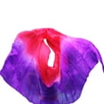 thumbnail image 2 of Silk Belly Dance Veil Bellydance Veil Shawl Scarf Dancing Practice Performance, 2 of 7