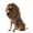 Coffee, variant on Lion Mane Wig for Dogs, Funny Pet Halloween Costumes, Furry Dog Clothing Accessories (Size L, Black)