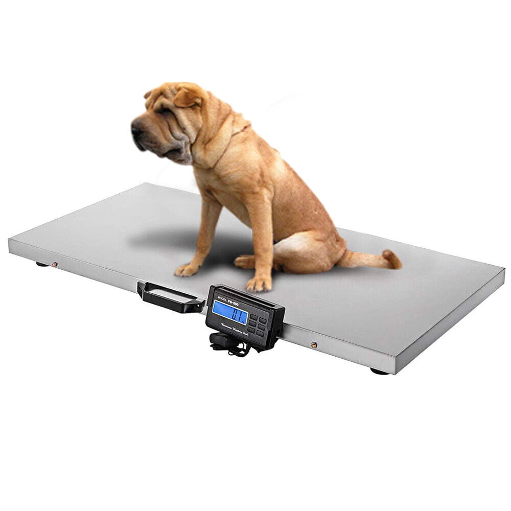 CNCEST Digital Livestock Scale 1100 lb LCD Tare Function Stainless Steel Bench Scale